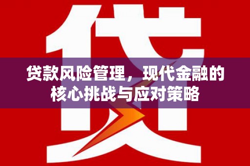 武川贷款风险管理，现代金融的核心挑战与应对策略