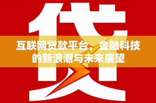 武川互联网贷款平台，金融科技的新浪潮与未来展望