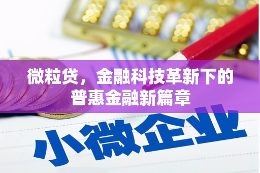 武川微粒贷，金融科技革新下的普惠金融新篇章
