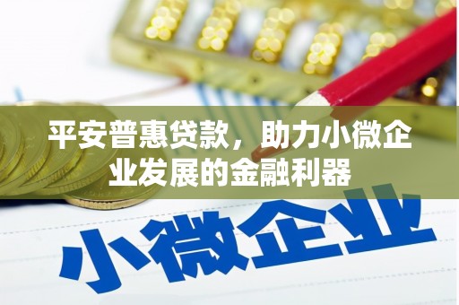 武川平安普惠贷款，助力小微企业发展的金融利器
