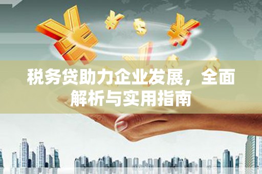 武川税务贷助力企业发展，全面解析与实用指南