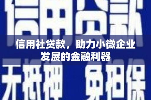 武川信用社贷款，助力小微企业发展的金融利器