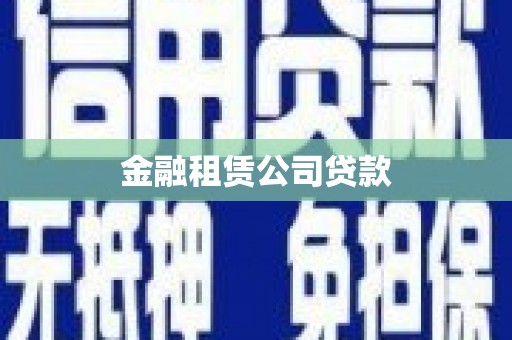 武川金融租赁公司贷款