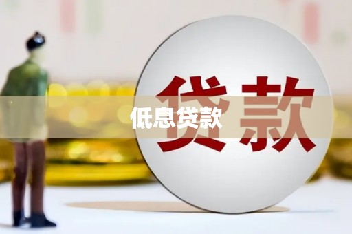 武川低息贷款