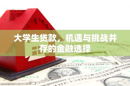 武川大学生贷款，机遇与挑战并存的金融选择