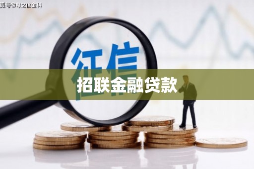 武川招联金融贷款