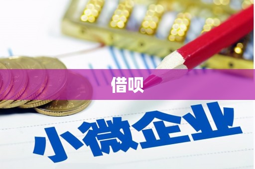武川借呗