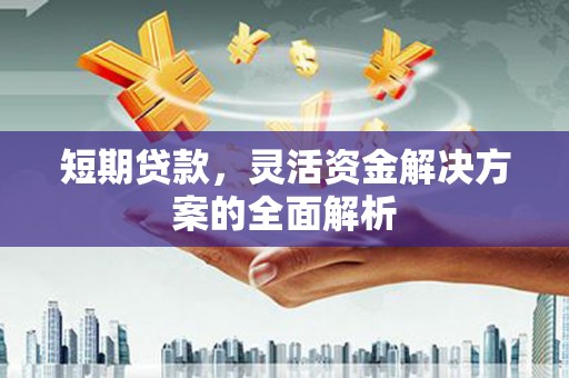 武川短期贷款，灵活资金解决方案的全面解析