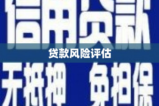 武川贷款风险评估
