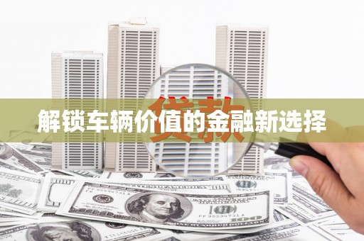 武川解锁车辆价值的金融新选择