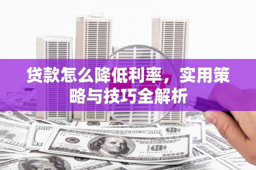 武川贷款怎么降低利率，实用策略与技巧全解析
