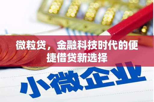 武川微粒贷，金融科技时代的便捷借贷新选择