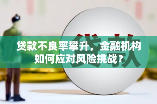 武川贷款不良率攀升，金融机构如何应对风险挑战？