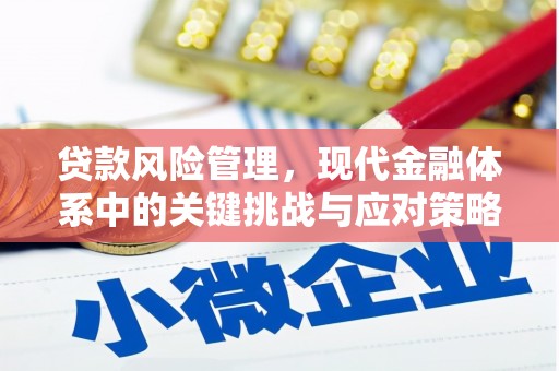 武川贷款风险管理，现代金融体系中的关键挑战与应对策略