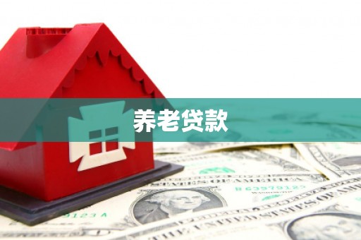 武川养老贷款