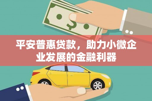 武川平安普惠贷款，助力小微企业发展的金融利器