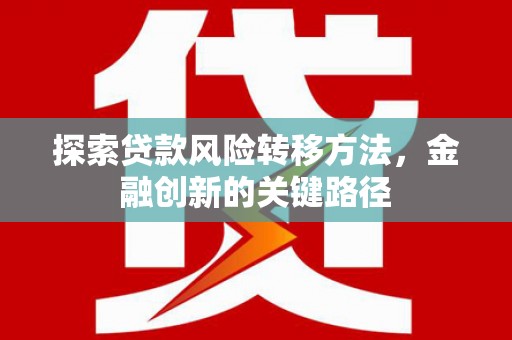 武川探索贷款风险转移方法，金融创新的关键路径