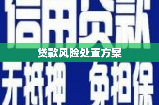 武川贷款风险处置方案