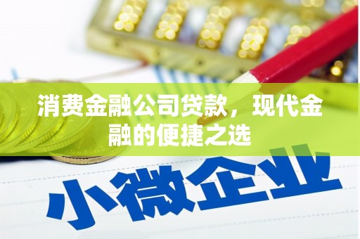 武川消费金融公司贷款，现代金融的便捷之选