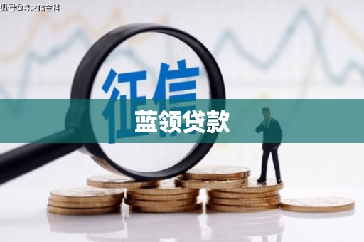 武川蓝领贷款