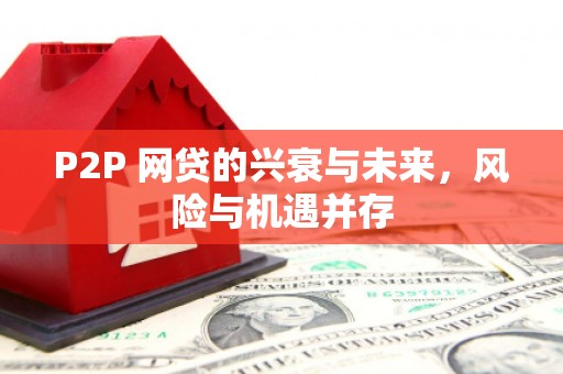武川P2P 网贷的兴衰与未来，风险与机遇并存