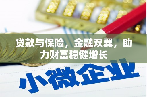 武川贷款与保险，金融双翼，助力财富稳健增长