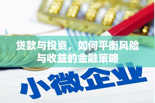 武川贷款与投资，如何平衡风险与收益的金融策略