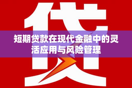 武川短期贷款在现代金融中的灵活应用与风险管理