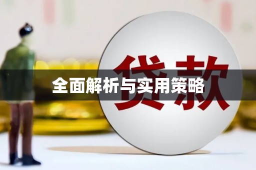 武川全面解析与实用策略