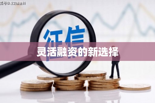 武川灵活融资的新选择