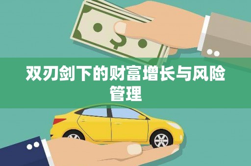武川双刃剑下的财富增长与风险管理