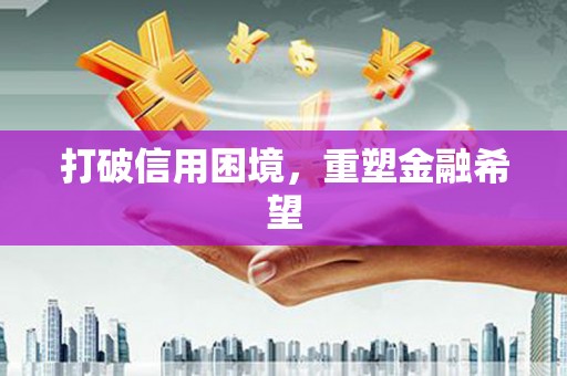 武川打破信用困境，重塑金融希望