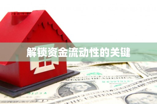 武川解锁资金流动性的关键