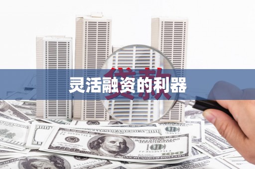 武川灵活融资的利器
