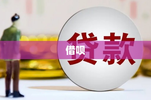 武川借呗