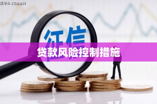 武川贷款风险控制措施