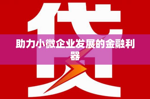 武川助力小微企业发展的金融利器