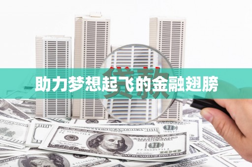 武川助力梦想起飞的金融翅膀