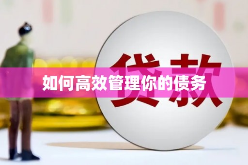 武川如何高效管理你的债务