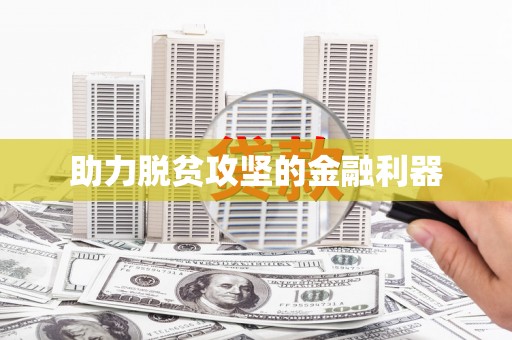 武川助力脱贫攻坚的金融利器