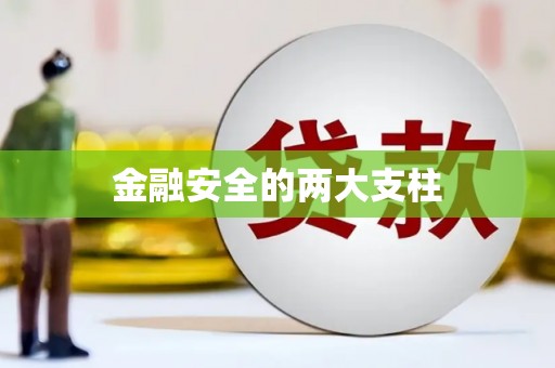 武川金融安全的两大支柱