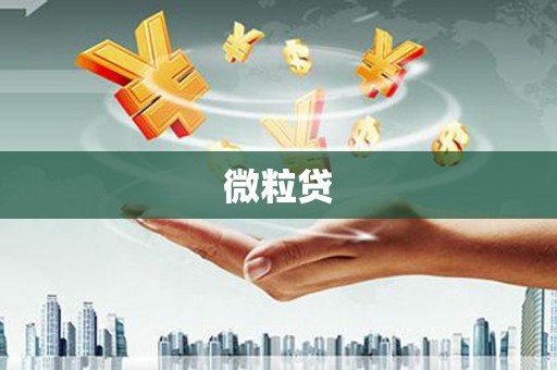武川微粒贷