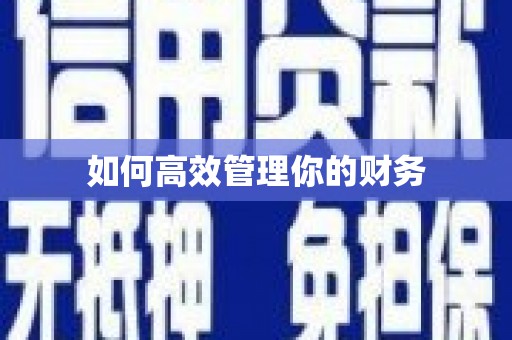 武川如何高效管理你的财务