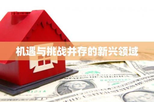 武川机遇与挑战并存的新兴领域