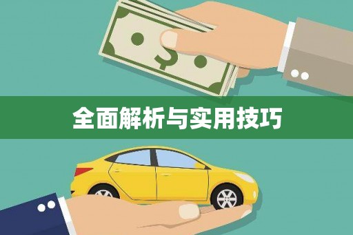 武川全面解析与实用技巧
