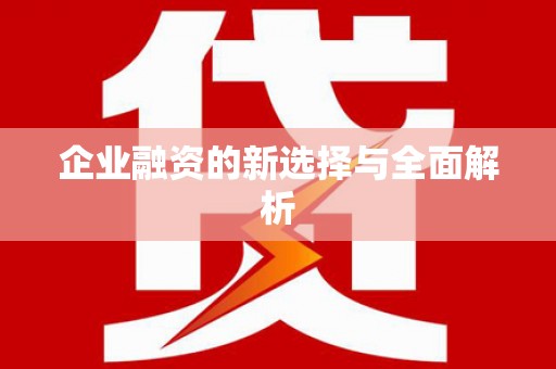 武川企业融资的新选择与全面解析