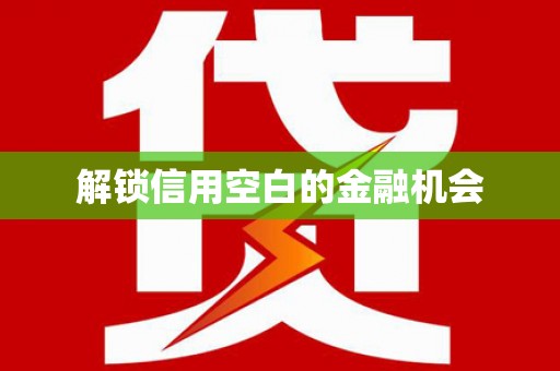 武川解锁信用空白的金融机会