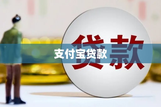 武川支付宝贷款