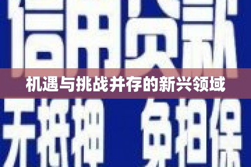 武川机遇与挑战并存的新兴领域