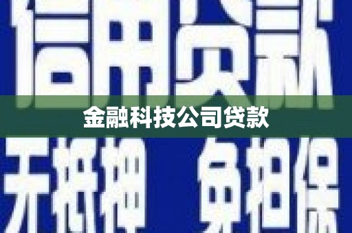 武川金融科技公司贷款